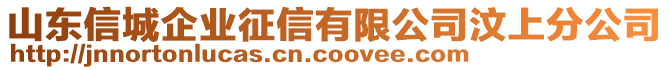 山東信城企業(yè)征信有限公司汶上分公司