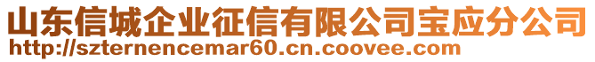 山東信城企業(yè)征信有限公司寶應(yīng)分公司