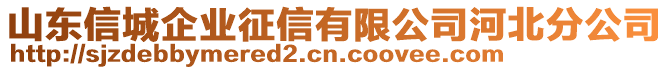 山東信城企業(yè)征信有限公司河北分公司