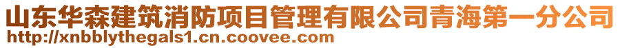 山東華森建筑消防項目管理有限公司青海第一分公司