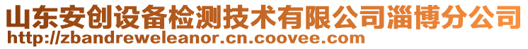 山東安創設備檢測技術有限公司淄博分公司