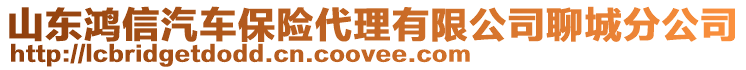 山東鴻信汽車保險(xiǎn)代理有限公司聊城分公司