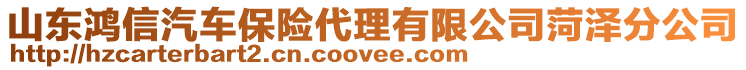 山東鴻信汽車保險代理有限公司菏澤分公司