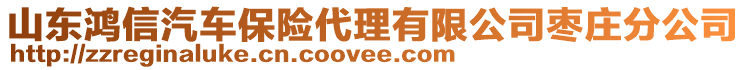 山東鴻信汽車(chē)保險(xiǎn)代理有限公司棗莊分公司