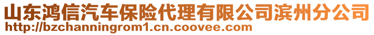 山東鴻信汽車保險(xiǎn)代理有限公司濱州分公司