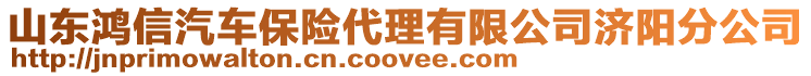 山東鴻信汽車保險(xiǎn)代理有限公司濟(jì)陽(yáng)分公司