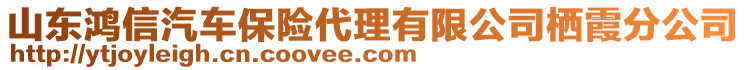 山東鴻信汽車保險代理有限公司棲霞分公司