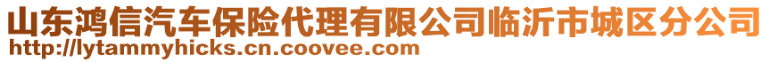 山東鴻信汽車保險代理有限公司臨沂市城區(qū)分公司