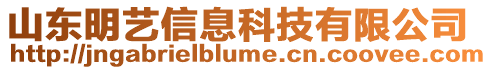 山東明藝信息科技有限公司