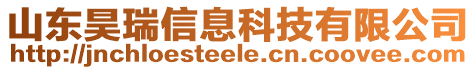 山東昊瑞信息科技有限公司