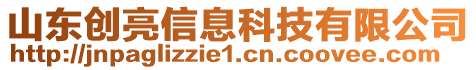 山東創亮信息科技有限公司