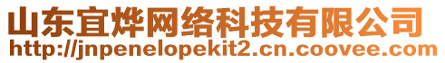 山東宜燁網(wǎng)絡(luò)科技有限公司