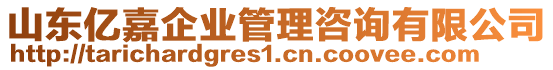 山東億嘉企業(yè)管理咨詢有限公司