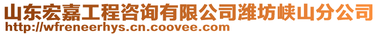 山東宏嘉工程咨詢有限公司濰坊峽山分公司