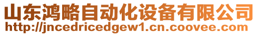 山東鴻略自動(dòng)化設(shè)備有限公司