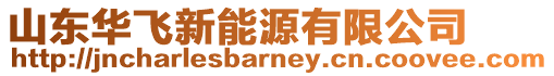山東華飛新能源有限公司