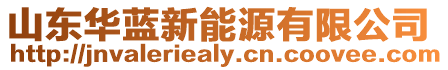 山東華藍新能源有限公司