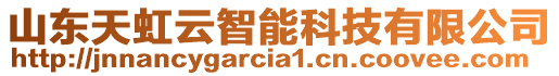 山東天虹云智能科技有限公司