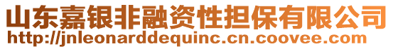 山東嘉銀非融資性擔(dān)保有限公司