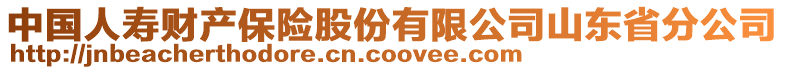 中國人壽財(cái)產(chǎn)保險(xiǎn)股份有限公司山東省分公司