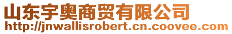 山東宇奧商貿有限公司