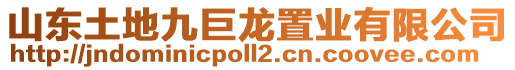 山東土地九巨龍置業(yè)有限公司