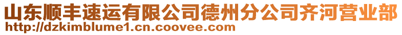 山東順豐速運有限公司德州分公司齊河營業(yè)部