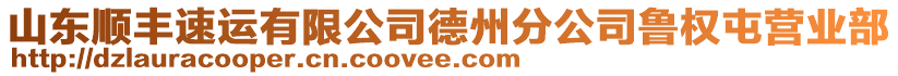 山東順豐速運有限公司德州分公司魯權(quán)屯營業(yè)部