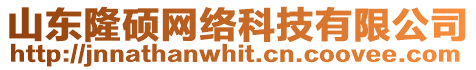 山東隆碩網絡科技有限公司