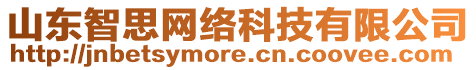 山東智思網(wǎng)絡(luò)科技有限公司