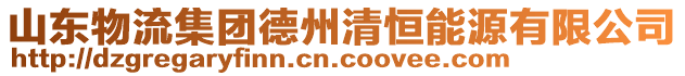 山東物流集團德州清恒能源有限公司