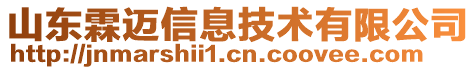 山東霖邁信息技術(shù)有限公司