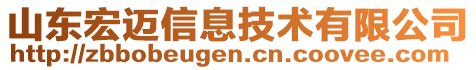 山東宏邁信息技術有限公司
