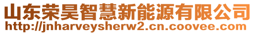 山東榮昊智慧新能源有限公司