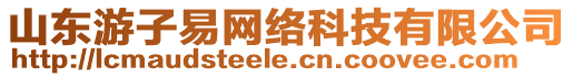 山東游子易網(wǎng)絡(luò)科技有限公司