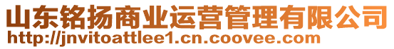 山東銘揚(yáng)商業(yè)運(yùn)營管理有限公司