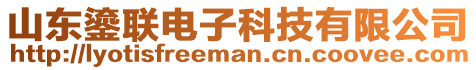 山東鎏聯(lián)電子科技有限公司