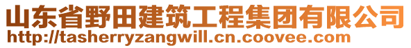 山東省野田建筑工程集團(tuán)有限公司