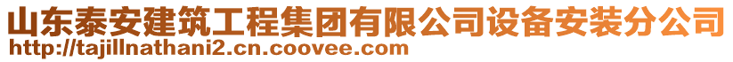 山東泰安建筑工程集團有限公司設備安裝分公司