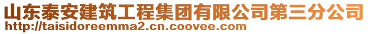 山東泰安建筑工程集團有限公司第三分公司