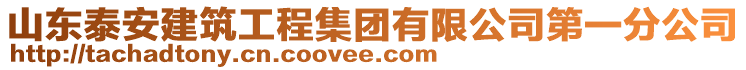 山東泰安建筑工程集團有限公司第一分公司