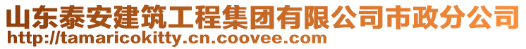 山東泰安建筑工程集團有限公司市政分公司