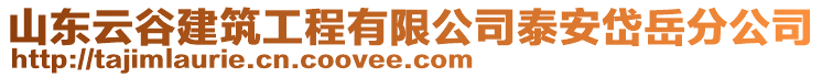 山東云谷建筑工程有限公司泰安岱岳分公司