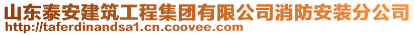 山東泰安建筑工程集團(tuán)有限公司消防安裝分公司