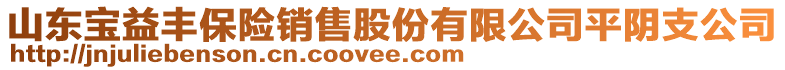 山東寶益豐保險銷售股份有限公司平陰支公司