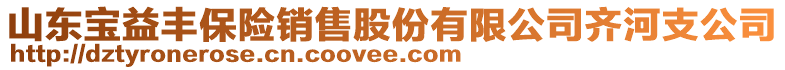 山東寶益豐保險銷售股份有限公司齊河支公司