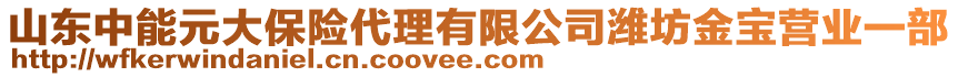 山東中能元大保險(xiǎn)代理有限公司濰坊金寶營業(yè)一部