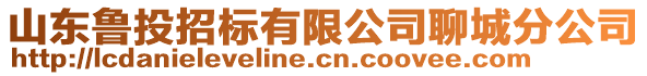 山東魯投招標(biāo)有限公司聊城分公司