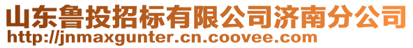 山東魯投招標(biāo)有限公司濟(jì)南分公司