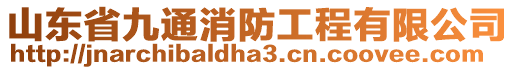 山東省九通消防工程有限公司